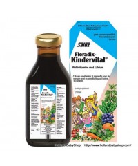 Salus KinderVital Multivitamin with Calcium  250ml